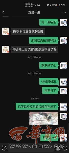 网购宠物狗收到后四天就死亡淘宝客服：线下交易无法售后建议报警