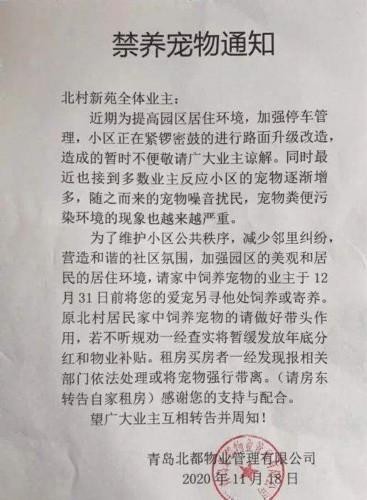 光明时评：小区内禁止宠物？与不文明的宠物相比，“一禁”的思维模式更可怕