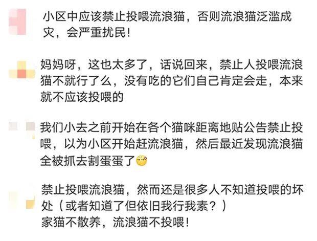 喂流浪猫的人都是垃圾，喜欢你怎么不都抱回家养啊